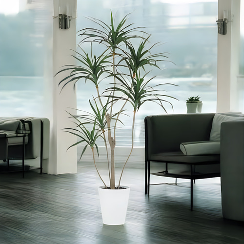 光触媒　人工観葉植物　ウォールグリーン　フェイクグリーン　東北コンシンネ180 光触媒 人工観葉植物 ウォールグリーン フェイクグリーン 東北