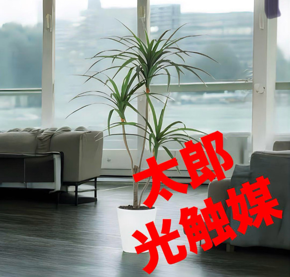 光触媒　人工観葉植物　ウォールグリーン　フェイクグリーン　東北コンシンネ110 光触媒 人工観葉植物 ウォールグリーン フェイクグリーン 東北