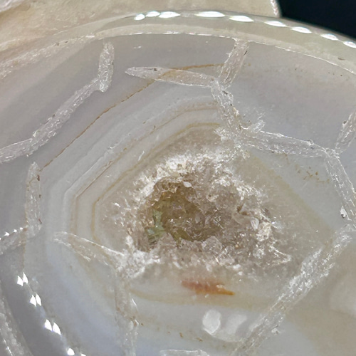 ジオード亀 幸 ～ アゲートジオード カメ（亀）さん 1個 50mm 天然石置物