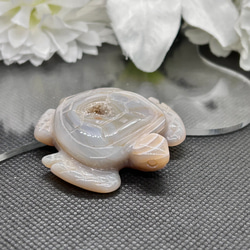 再再再販】パールシェル（イケチョウ貝） 淡水パールのお皿 天然石の