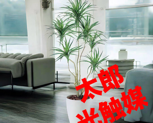 光触媒 人工観葉植物 ウォールグリーン フェイクグリーン コンシナ