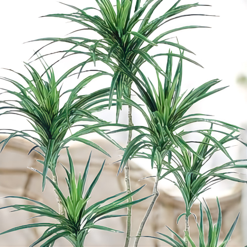 光触媒　人工観葉植物　ウォールグリーン　フェイクグリーン　コンシナトリコロル14 光触媒 人工観葉植物 ウォールグリーン フェイクグリーン コン