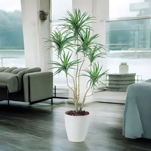 光触媒 人工観葉植物 ウォールグリーン フェイクグリーン コンシナ