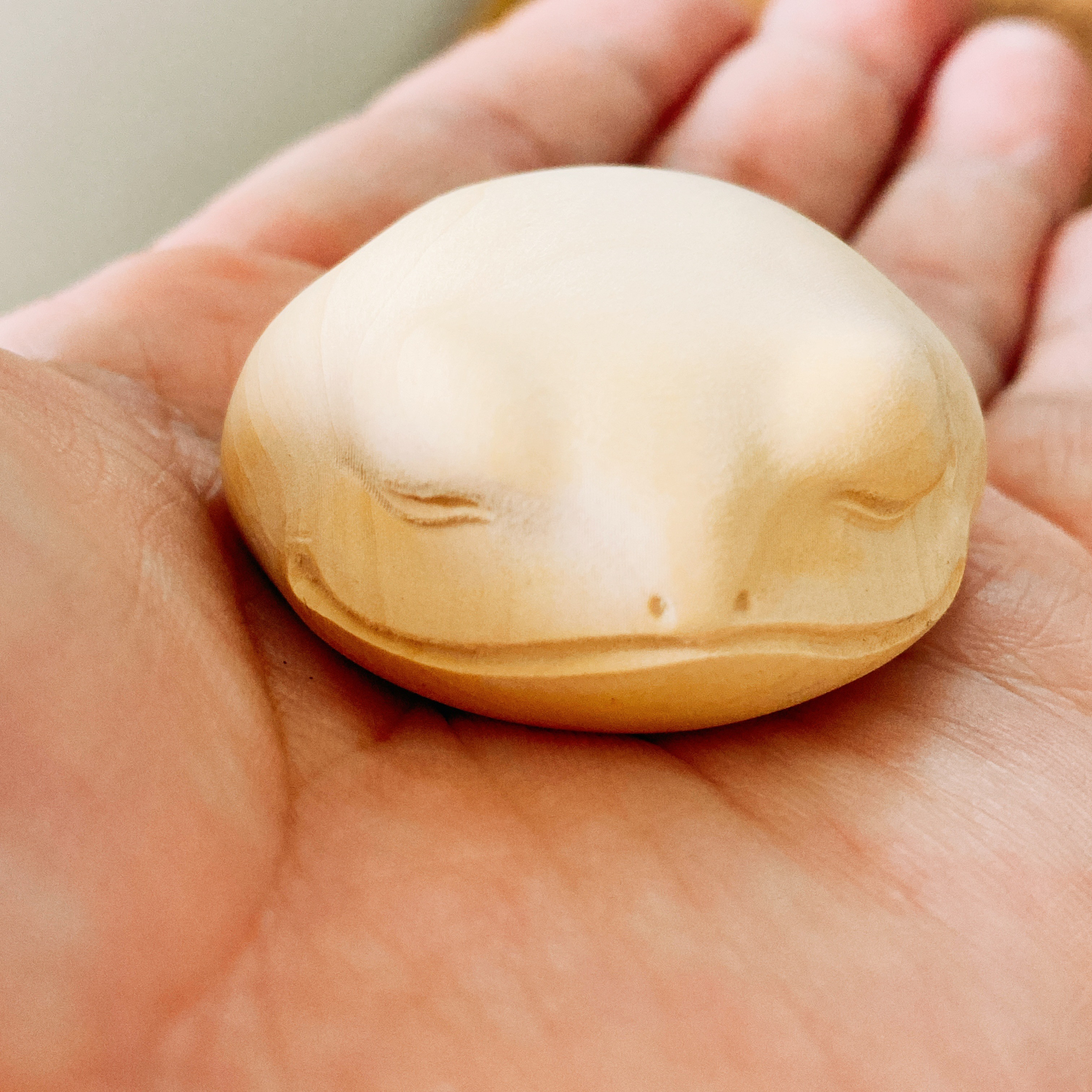 ワカガエル®（WAKAGĀRU）― 若さ、よみガエル、福がカエル