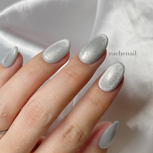 ネイルチップ ジェルネイル マグネットネイル シルバー シンプル