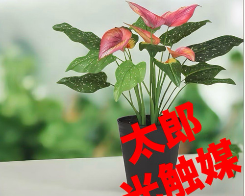 光触媒　人工観葉植物　ウォールグリーン　フェイクグリーン　東北カラー55 光触媒 人工観葉植物 ウォールグリーン フェイクグリーン 東北カラー55