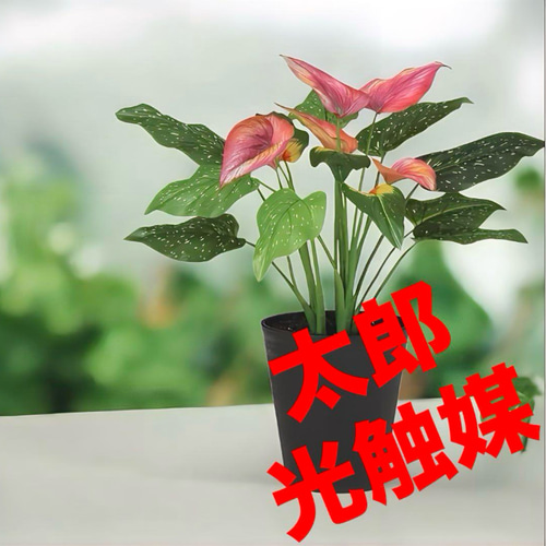 光触媒　人工観葉植物　ウォールグリーン　フェイクグリーン　東北カラー55 光触媒 人工観葉植物 ウォールグリーン フェイクグリーン 東北カラー55