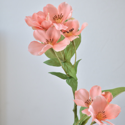 絵画 エイジア イェンセン ピーチ ブロッサム 花 壁飾り 絵画 エイジア イェンセン ピーチ ブロッサム 花 壁飾り 絵画 エイジア