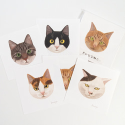 ねこときのこのマスキングテープ~トラねこ~ マスキングテープ kinekoya