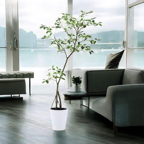 光触媒 人工観葉植物 ウォールグリーン フェイクグリーン