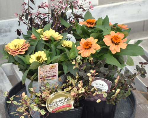 9ad8fbf7f32bdb5b03f34897b6c91b