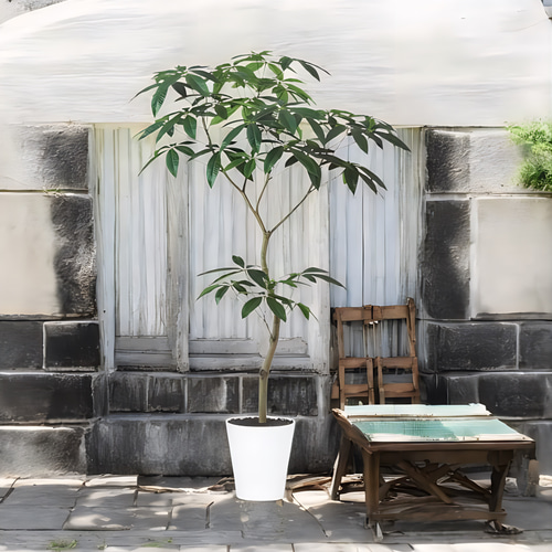 光触媒 人工観葉植物 ウォールグリーン フェイクグリーン パキラ