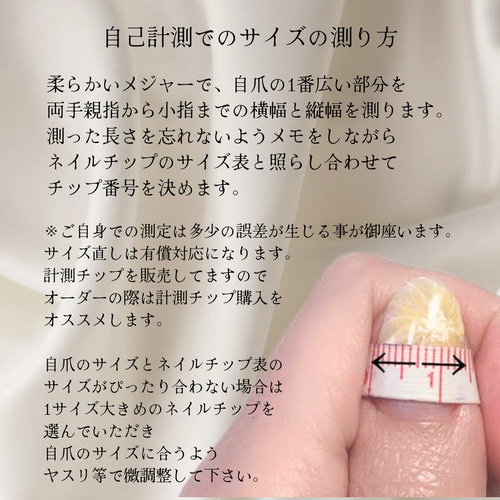 Luminous Petal ネイルチップ ニュアンスネイル 結婚式 成人式
