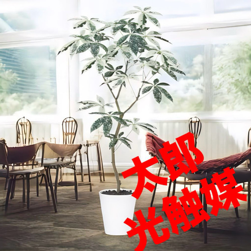 光触媒 人工観葉植物 ウォールグリーン フェイクグリーン デザイン