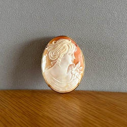 イタリアの古いカメオ Cameo アンティークカメオ　ブローチ　Italy 【1点】 1枚目の画像