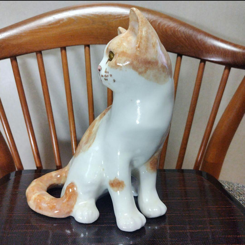 ウィンスタンレイキャット（ケンジントンキャット）サイズ5