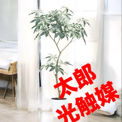 光触媒 人工観葉植物 ウォールグリーン フェイクグリーン