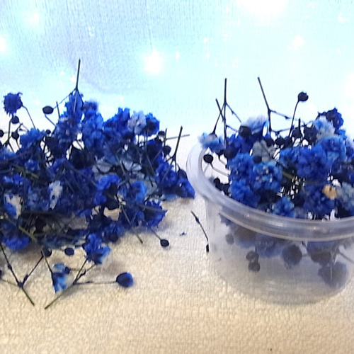 花材 ドライフラワー かすみ草 ロイヤルブルー チャーム フィンヌ 通販