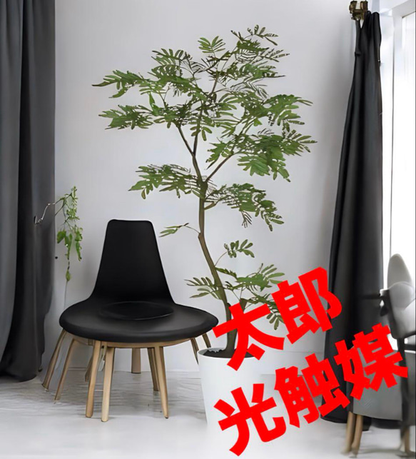 光触媒 人工観葉植物 ウォールグリーン フェイクグリーン