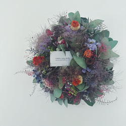 Botanical wreath 6 popolus ユーカリポポラスリース リース Creams