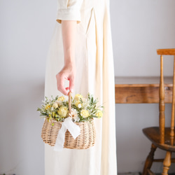 2.スターチスフライングリース スターチスフライングリース 005