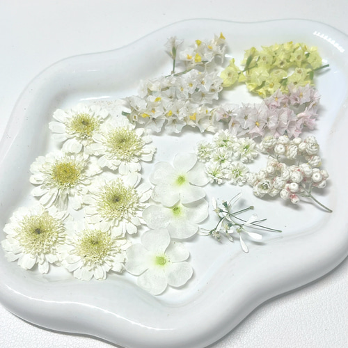 ドライフラワー】プチフラワーセット レジン・樹脂 Dry Flower Rides
