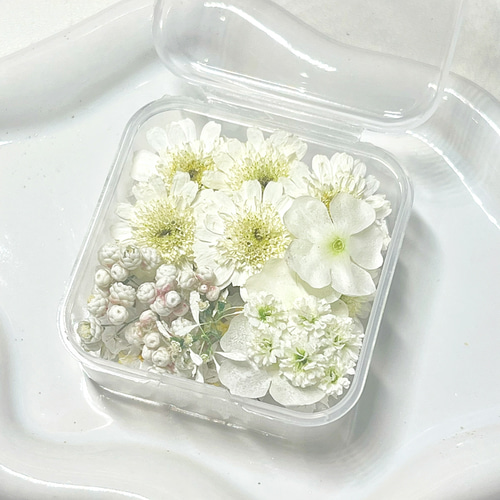 ドライフラワー】プチフラワーセット レジン・樹脂 Dry Flower Rides