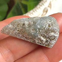  第2張的照片