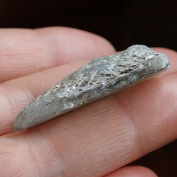  第5張的照片
