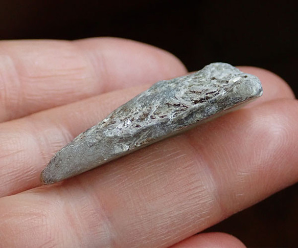  第5張的照片