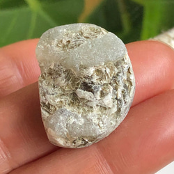  第3張的照片