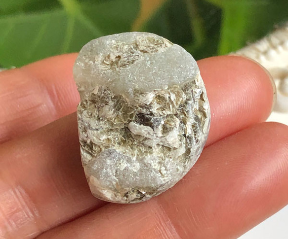  第3張的照片