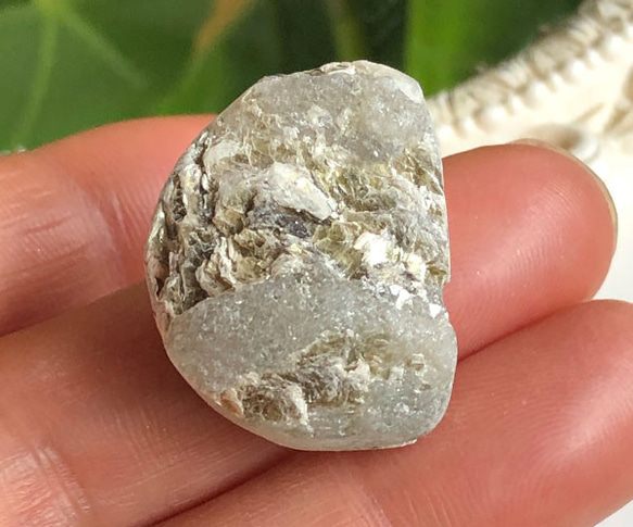  第1張的照片