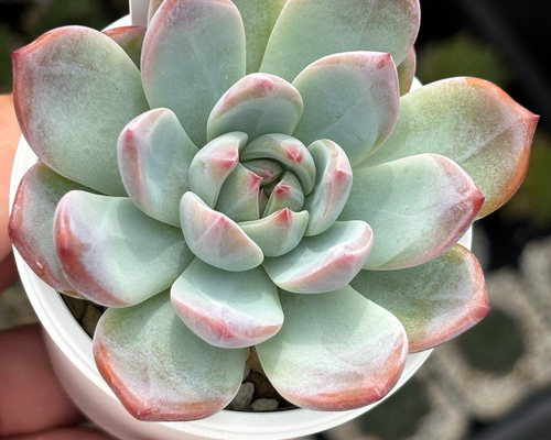 0a59cc47fee4d55887e5727512f025