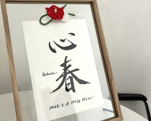 書家が書く額入り命名書（A4サイズ） ー紅白椿モチーフー 雑貨