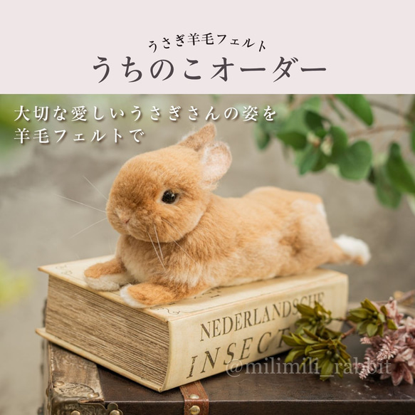 専用出品 うさぎフレーム うちのこ オーダーメイド 羊毛フェルト ハンドメイド うさぎフレーム オーダー募集 うちのこオーダー 羊毛フェルト