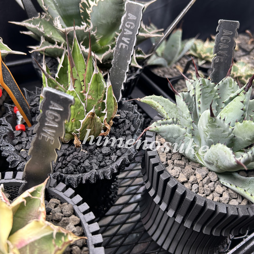 ☆送料込み☆ライトレールスタンド0.5m 即購入OK 植物育成 アガベ 塊根