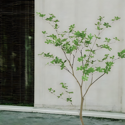 光触媒　人工観葉植物　ウォールグリーン　フェイクグリーン　ドウダンツツジ FST 光触媒 人工観葉植物 ウォールグリーン フェイクグリーン