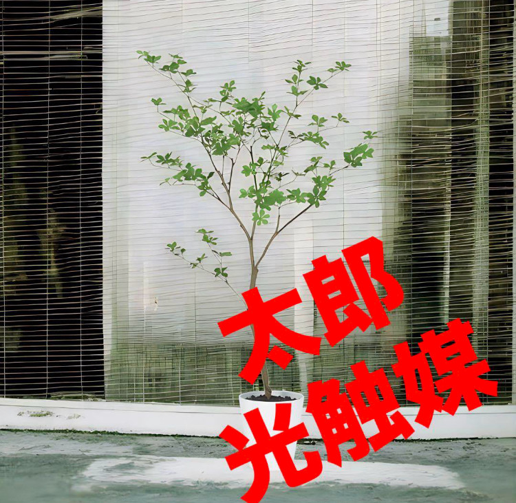 光触媒　人工観葉植物　ウォールグリーン　フェイクグリーン　ドウダンツツジ130FST