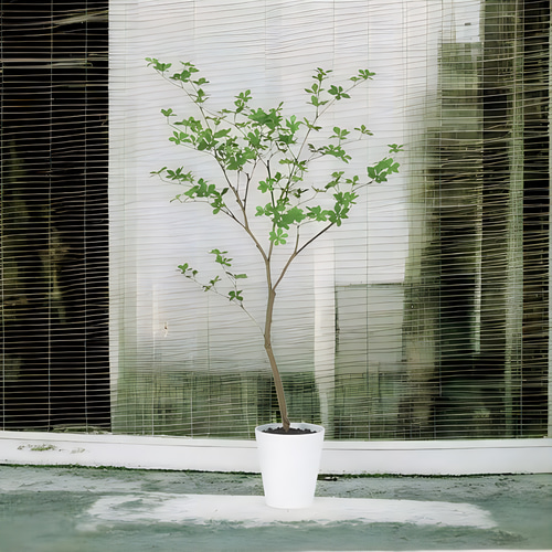 光触媒　人工観葉植物　ウォールグリーン　フェイクグリーン　ドウダンツツジ FST 光触媒 人工観葉植物 ウォールグリーン フェイクグリーン