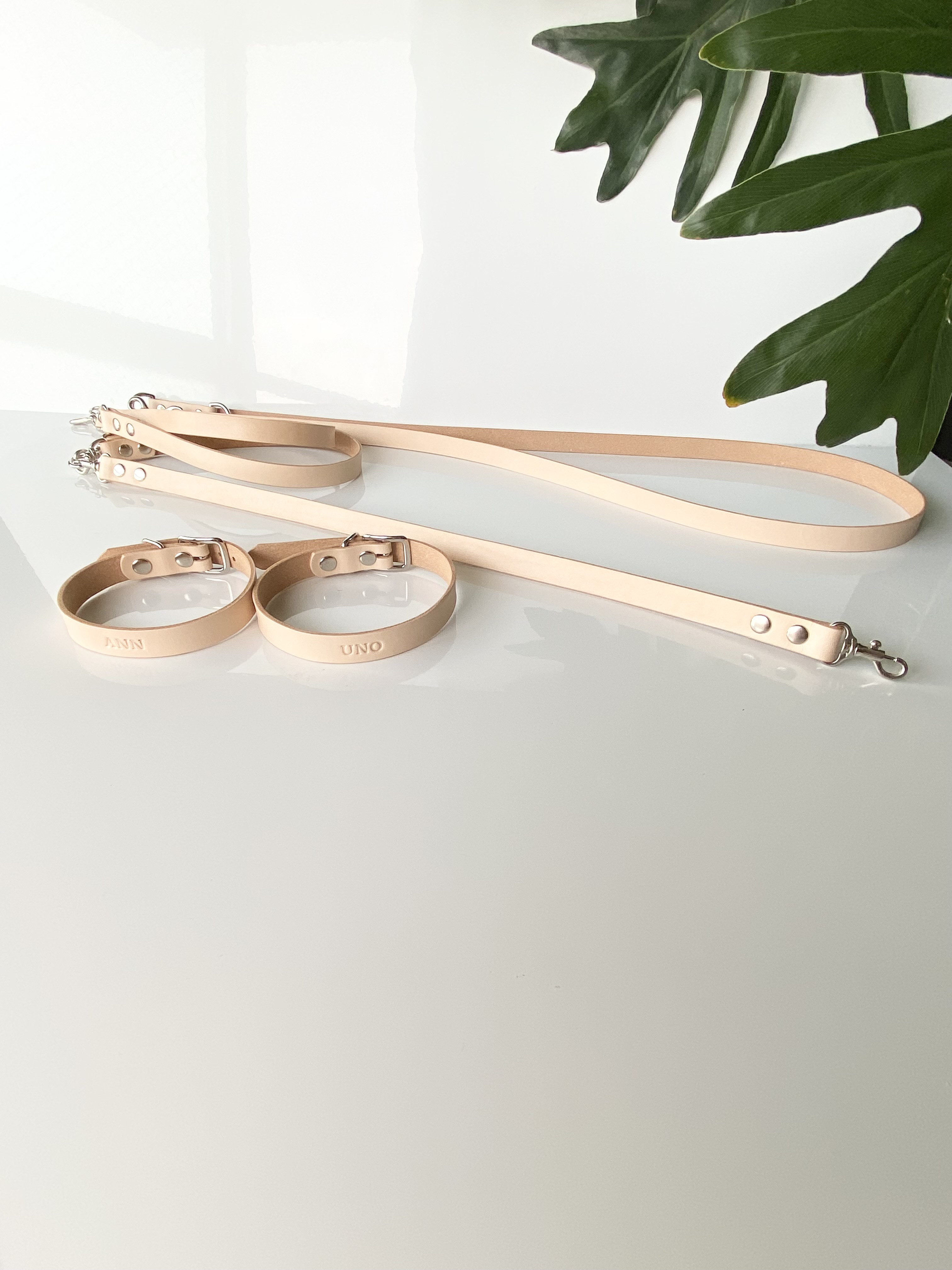 ツインリードにショルダーを付けたタイプ（小型犬用）