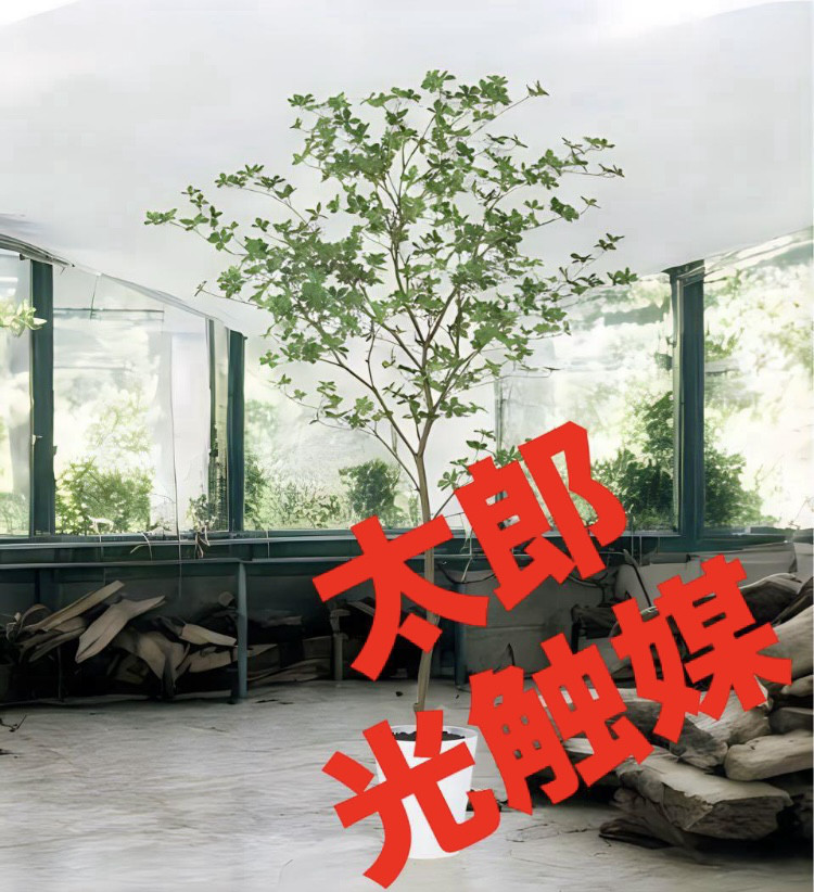 光触媒　人工観葉植物　ウォールグリーン　フェイクグリーン　ドウダンツツジ200FST