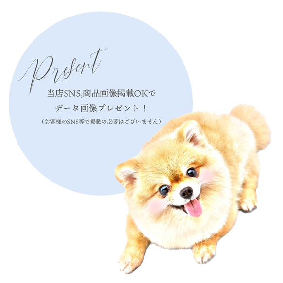  第4張的照片