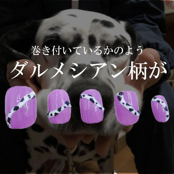 ダブル ダルメシアン 犬 ネイルチップ ワンちゃん 紫 ライラックカラー 白黒 愛犬 動物 アニマル だるめしあん 爪 4枚目の画像