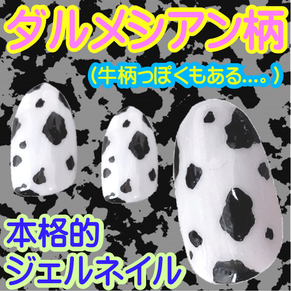 ダブル ダルメシアン 犬 ネイルチップ ワンちゃん 紫 ライラックカラー 白黒 愛犬 動物 アニマル だるめしあん 爪 6枚目の画像