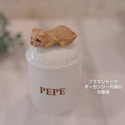【可愛いペットのお仏壇セット】犬専用・手元供養・メモリアルセット 5枚目の画像