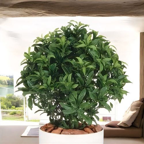 光触媒　人工観葉植物　ウォールグリーン　フェイクグリーン　ベイリーフ 光触媒 人工観葉植物 ウォールグリーン フェイクグリーン