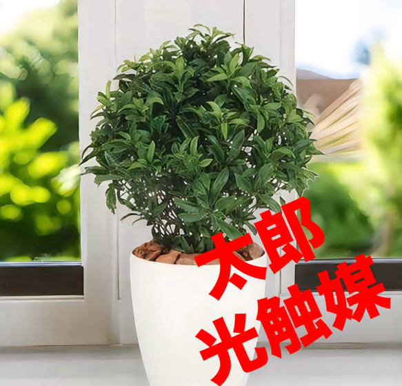 光触媒 人工観葉植物 ウォールグリーン フェイクグリーン ベイリーフ