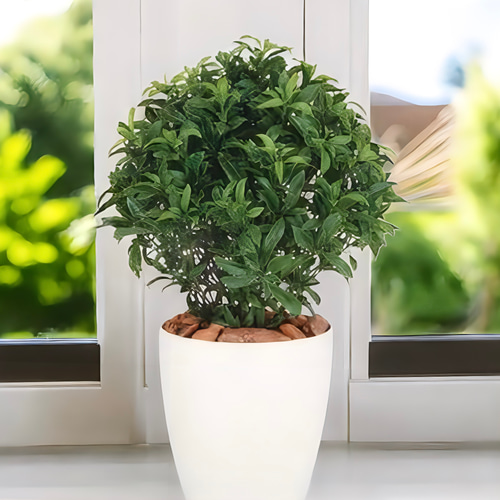 光触媒　人工観葉植物　ウォールグリーン　フェイクグリーン　ベイリーフ 光触媒 人工観葉植物 ウォールグリーン フェイクグリーン