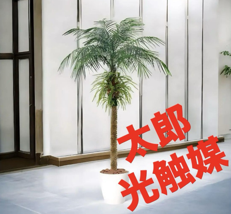光触媒　人工観葉植物　フェイクグリーン　フェニックス・ロベレニー PLUS